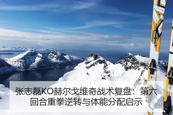 zhang-zhi-lei-he-er-ge-wei-qi-zhan-shu-fu-pan-di-liu-hui-he-zhong-quan-ni-zhuan-yu-ti-neng-fen-pei-qi-shi-2-524.jpg