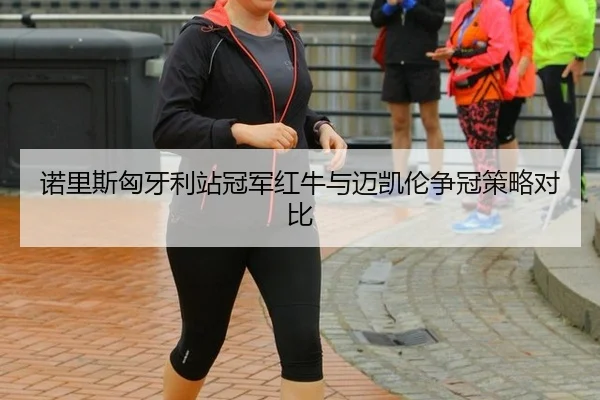 诺里斯匈牙利站冠军红牛与迈凯伦争冠策略对比